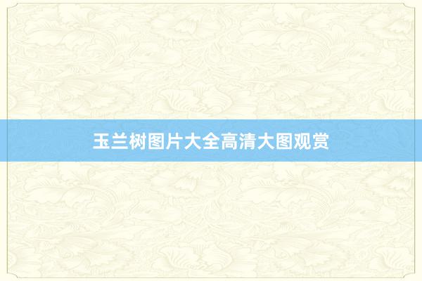 玉兰树图片大全高清大图观赏