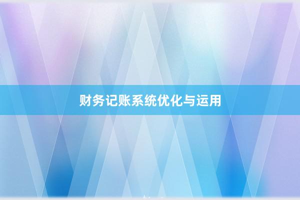 财务记账系统优化与运用